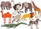 African Animals Set, Rhinoceros, Ostrich, Elephant, Ggiraffe, Camel, Lion, Crocodile, Zebra, Lemur Vector Illustration