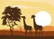 African animals silhouettes