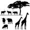 African animals, silhouettes