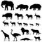 African animals silhouettes set. Livestock animals of tropical zone