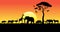 African animals in sunset