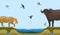 African animals at water place at savanna landscape vector illustration. Leopard or panthera and bull and flock of birds