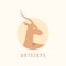African antelope logotype.
