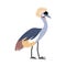 African bird crowned crane