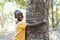 African Black Boy Hugging Huge Tree as a Natural Agriculture Environmental Symbol in African Forest