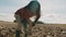 African black farmer picking up soil from ploughed farmland