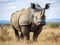 African black rhino