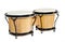 African bongos isolated