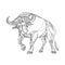 African Buffalo Charging Doodle
