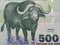 African Buffalo a portrait from Tanzanian money