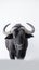 African Buffalo. Untamed Beauty in Minimalism. Generative AI