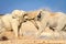 African bull elephants fighting at waterhole in Etosha National Park, Namibia, Africa