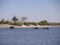 African bush elephants crossing Chobe river