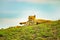 African cheetahs is lying on the green grass. The background is blue sky. It is close up photo. It is natural background with