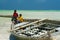 African children playing on old wooden boat on wonderful tropical white sand beach during low