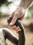 African childs hand holding a white adults hand