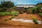 African country house and garden in the vicinity of Lusaka