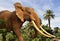 African elephant