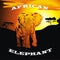 African elephant against the backdrop of the savannah and the setting sun. There is a vector CDR format.