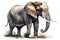 African elephant Animals and wildlife isolate on white background