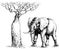 African elephant and baobab