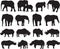 African elephant and Black rhinoceros silhouette contour