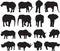 African elephant and Black rhinoceros silhouette contour