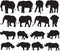 African elephant and Black rhinoceros silhouette contour