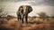 African elephant bull with long ivory tusks walking down dry savannah landscape - generative AI