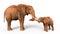 African Elephant with Calf, 3D Illustration