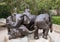 `African Elephant Calves`, a bronze five-piece fountain group by Lorenzo Ghiglieri at the Dallas Zoo, Texas