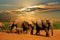 African elephant herd, Loxodonta africana, of different ages walking away from water hole, Addo Elephant National Park, South