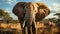 African Elephant Majesty Wildlife Safari in the Savannah, Capturing the Essence of Nature\\\'s Giants,Generative Ai