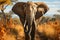 African Elephant Majesty Wildlife Safari in the Savannah, Capturing the Essence of Nature\\\'s Giants,Generative Ai