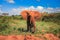 African elephant on the masai mara kenya