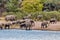 African elephant, Namibia, Africa safari wildlife