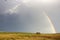 African elephant and rainbow in South Africa