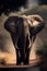 African elephant in the savanna of Namibia, Africa. Wild animal.