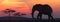 African elephant silhouette