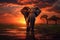 African elephant at sunset, Amboseli National Park, Kenya, Africa, elephant and sunset, AI Generated