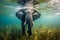 African elephant walking and swimming underwater. Amazing African Wildlife. Generative Ai
