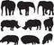 African elephant,white rhinoceros and hippo silhouette contour