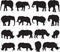 African elephant and white rhinoceros silhouette contour