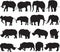 African elephant and white rhinoceros silhouette contour