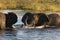 African Elephants - Botswana