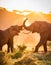 African Elephants fighting