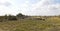 African Elephants - Kruger National Park