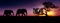 African elephants sunset silhouette. Travel, wildlife and environment concept