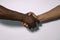 African and European handshake as a sign of friendship, greeting, agreement or deal