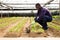 African farmer caring for young houseplants